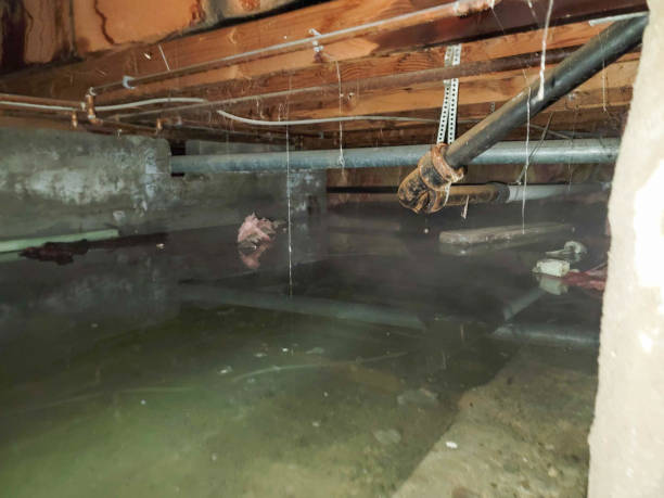 Best Residential water damage restoration  in Baldwin Park, CA