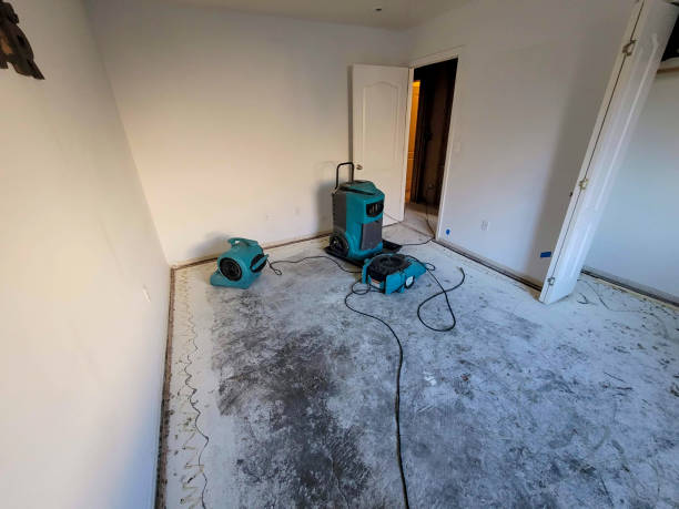 Best 24-hour water damage restoration  in Baldwin Park, CA