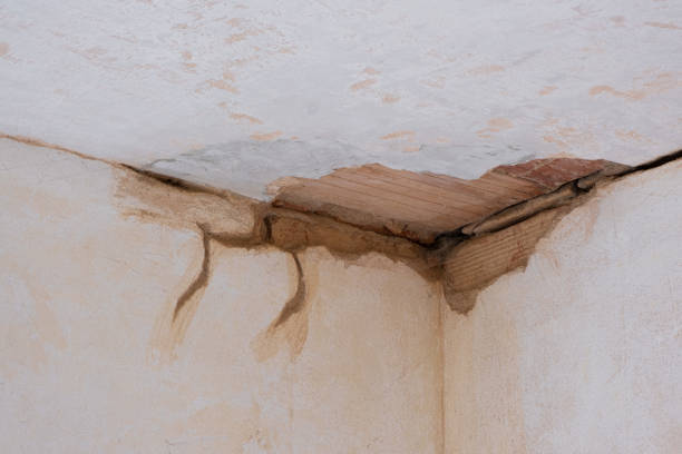 Best Flood restoration services  in Baldwin Park, CA