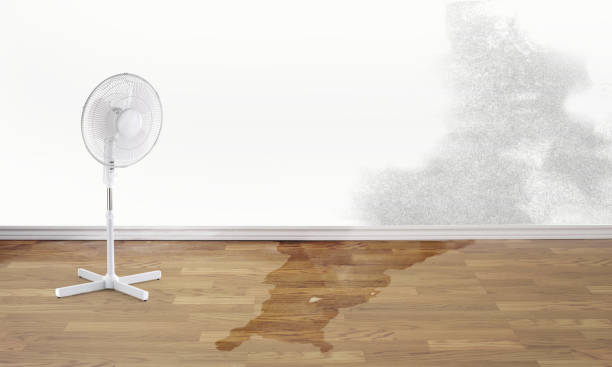 Local water damage restoration in CA