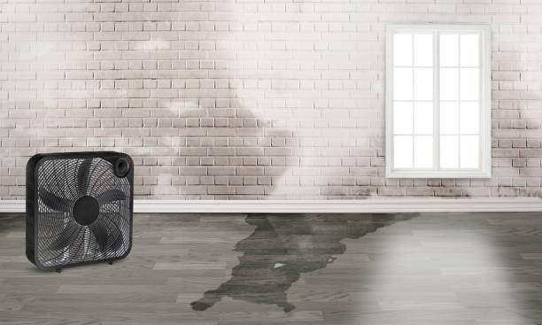Best Local water damage restoration  in Baldwin Park, CA