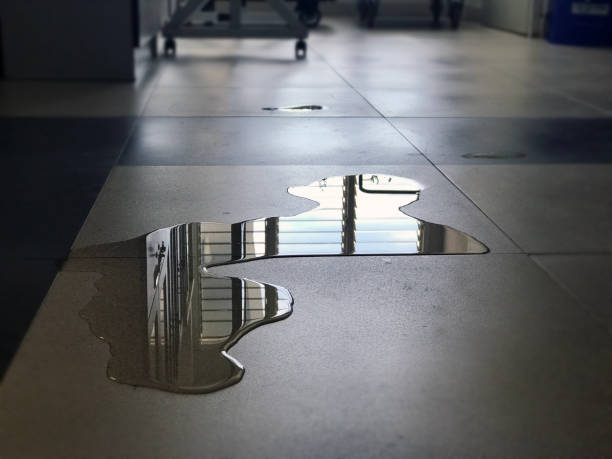 24/7 water damage repair in CA