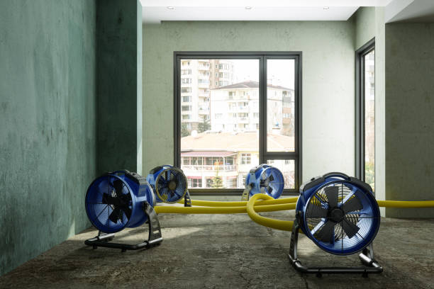 Best Water damage cleanup near me  in Baldwin Park, CA